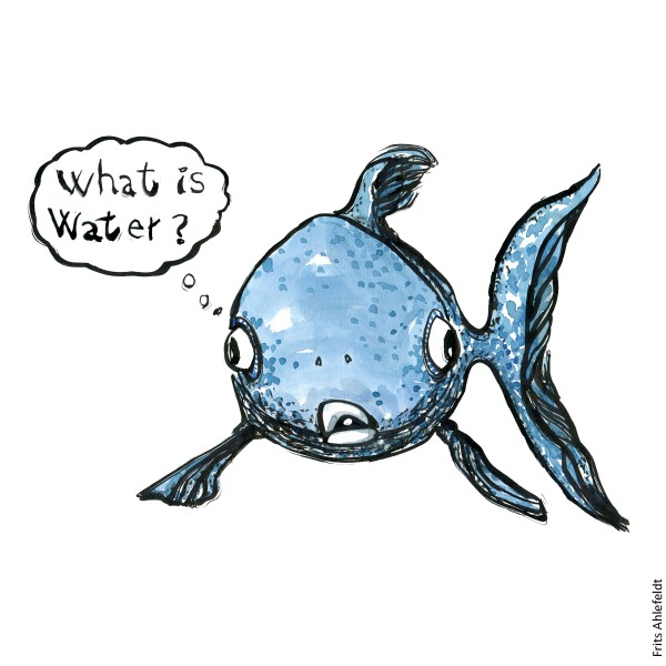 Drawing of a fish wondering what is water. Illustration by Frits Ahlefeldt